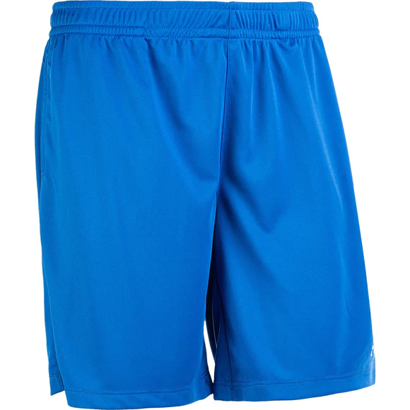 FZ Forza Lander Shorts (Olympian Blue)